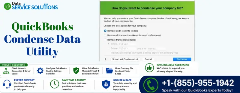 quickbooks condense data utility