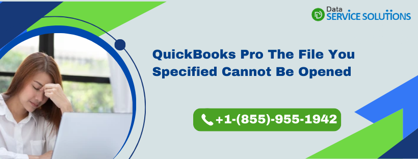 QuickBooks payroll error the file you specified cannot be opened