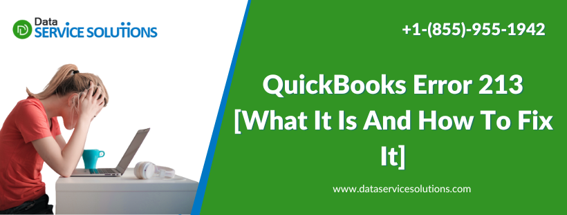 QuickBooks Error 213 What It Is And How To Fix It