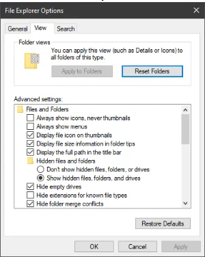 File Explorer Options