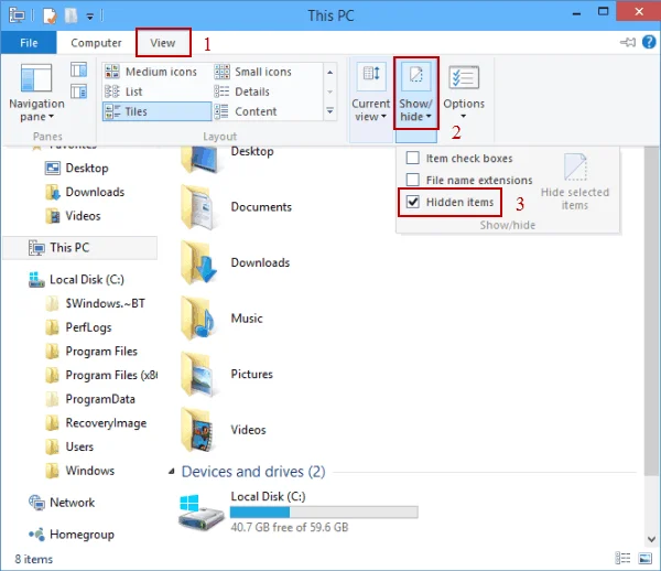 Select Show Hidden Files,  Folders, and Drives option 