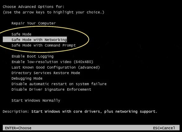 Safe Boot option With Network
