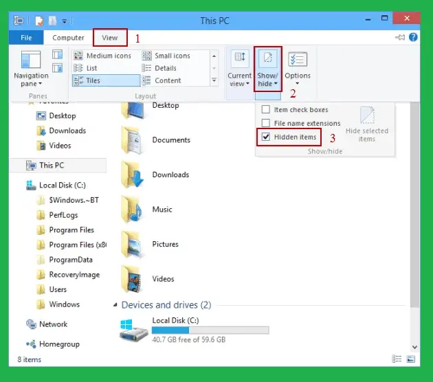 Select Show Hidden Files,  Folders, and Drives option